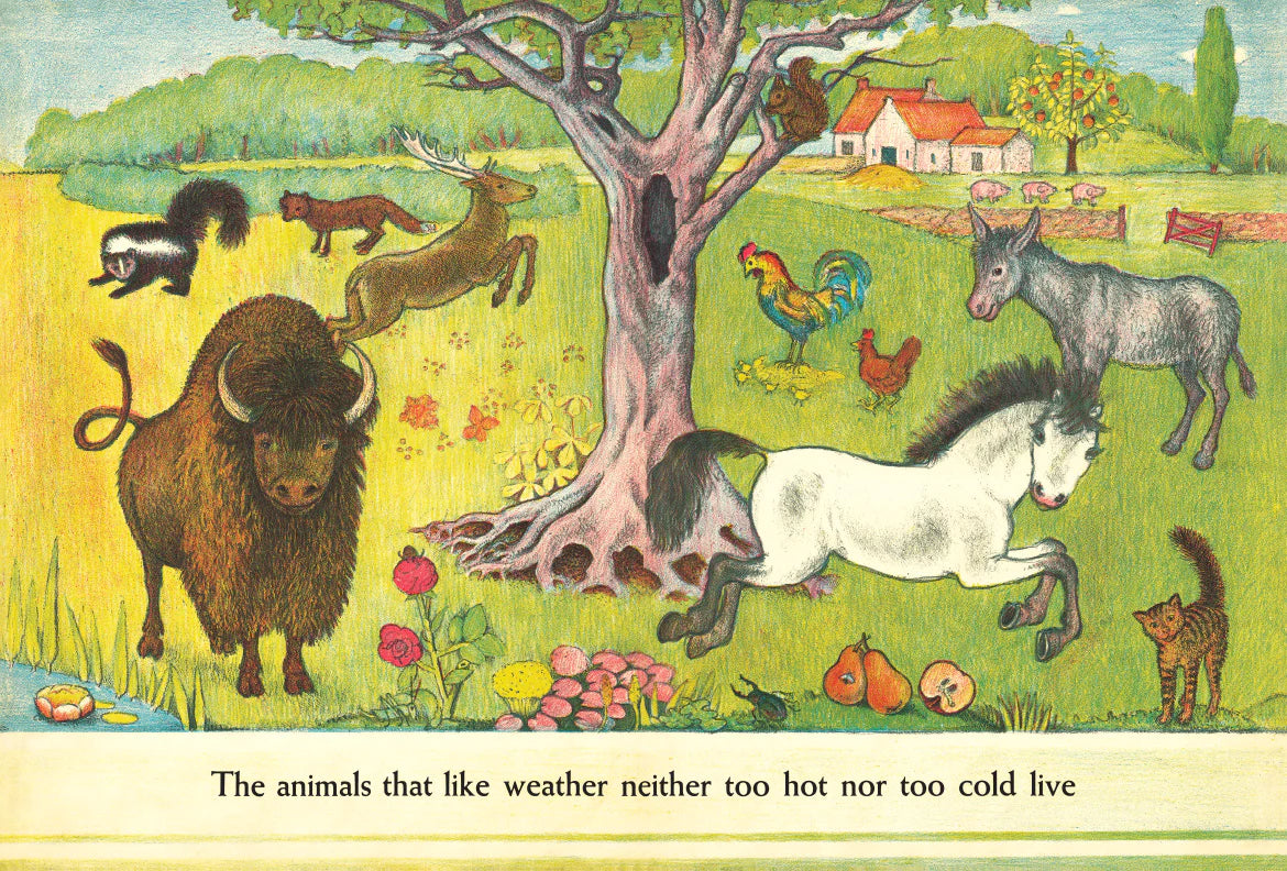 D'Aulaires' Book of Animals