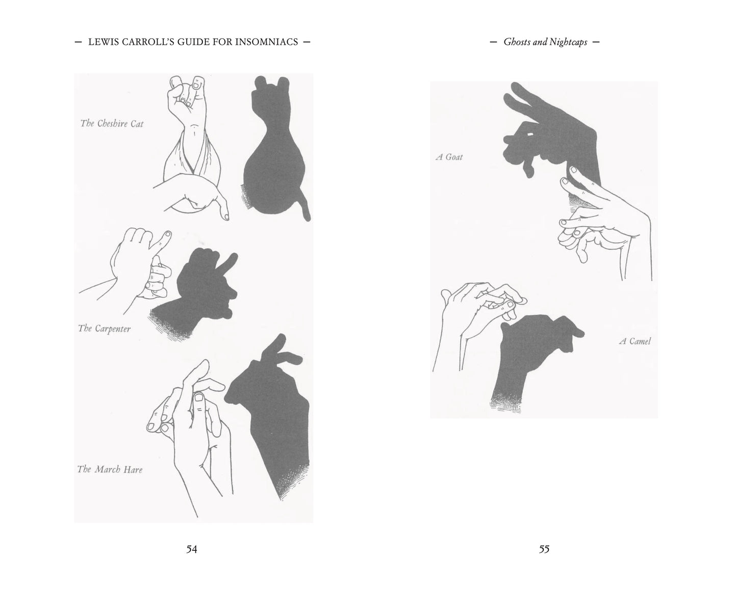 Lewis Carroll’s Guide for Insomniacs