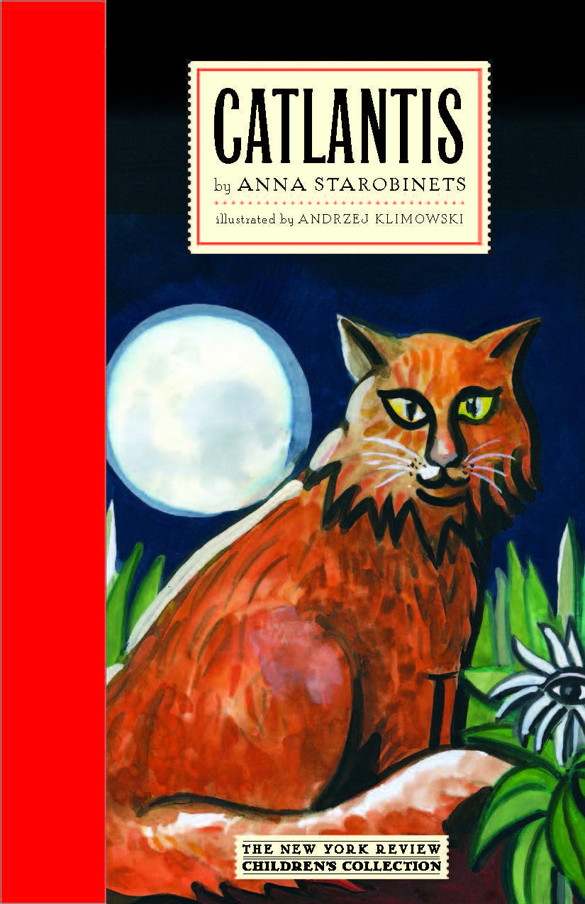 Children's Fiction Cat Books Hardcover Books Award Winning Mixed