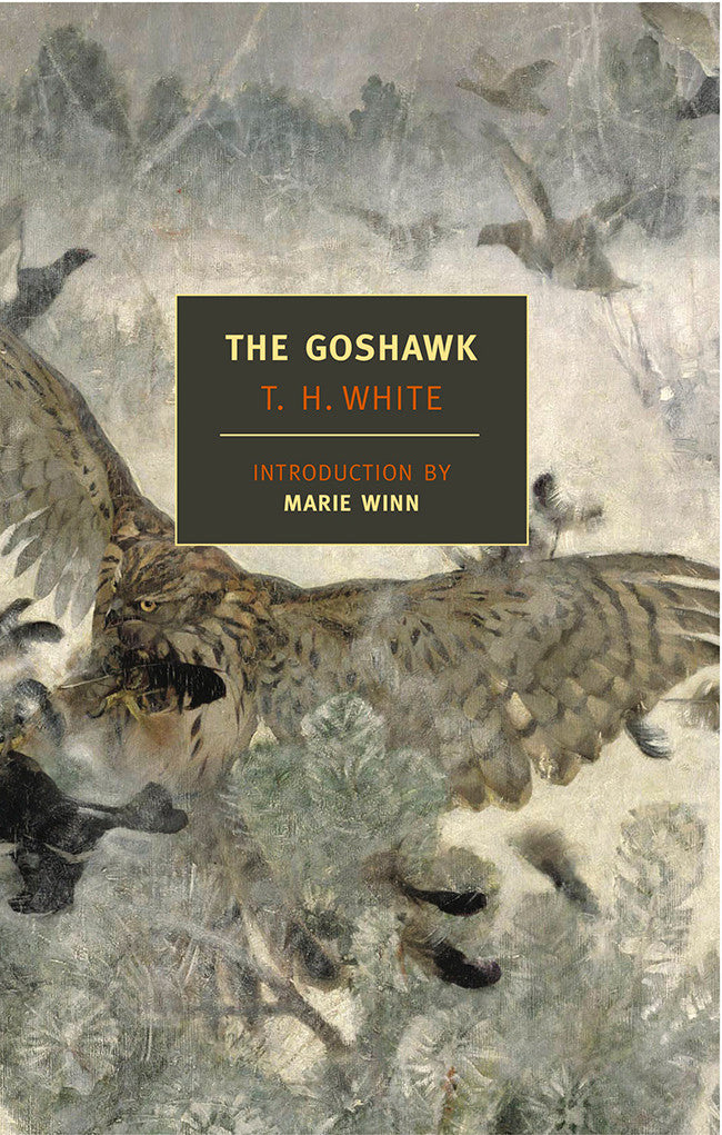 The Goshawk