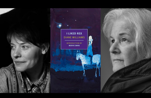 'I Liked Rex': Diane Williams with Maggie Doherty – Cambridge, MA