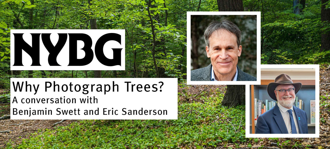 'Why Photograph Trees?" w/ Benjamin Swett @ New York Botanical Garden