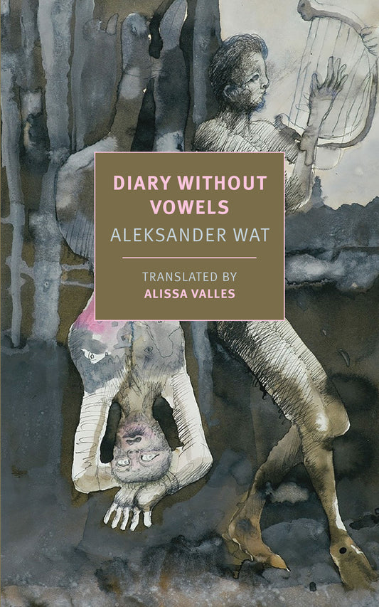 Diary Without Vowels